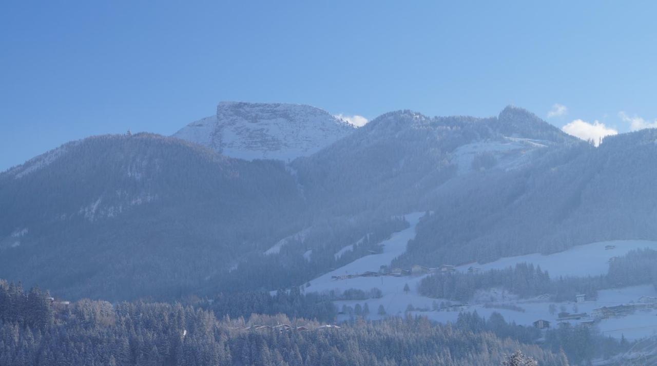 Krandlhof Daire Zell am Ziller Dış mekan fotoğraf