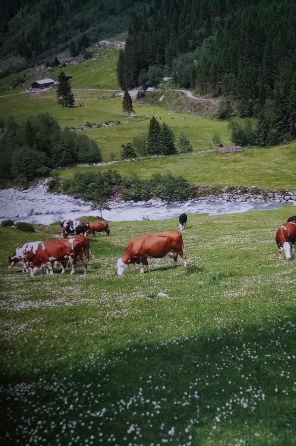 Krandlhof Daire Zell am Ziller Dış mekan fotoğraf