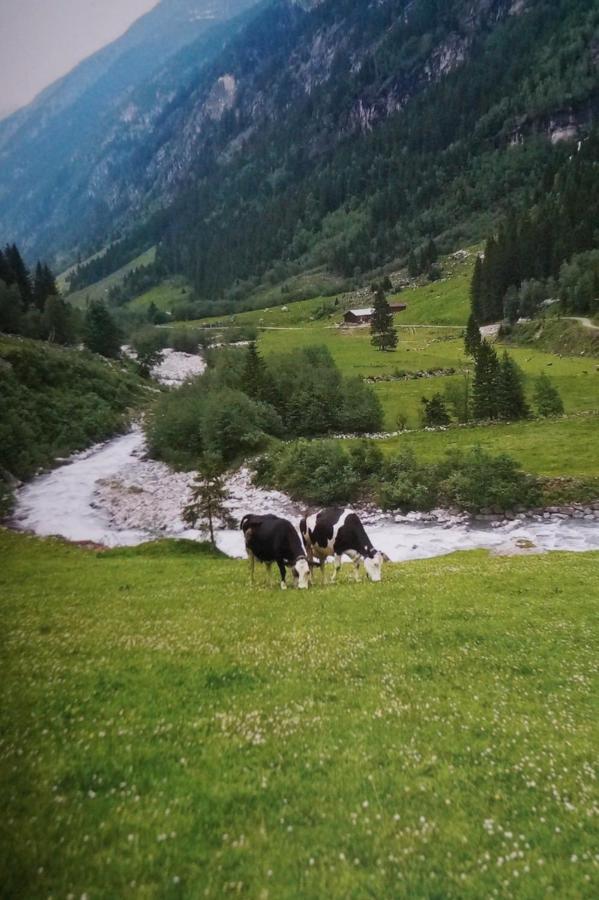 Krandlhof Daire Zell am Ziller Dış mekan fotoğraf